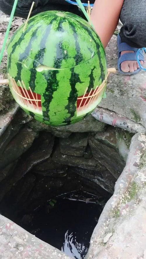 吃瓜捕鱼神器下载,下载攻略与玩法解析