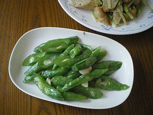 蛇会吃瓜,揭秘蛇类独特的饮食习惯