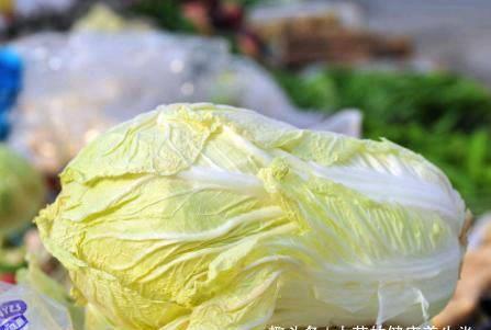 白瓜白菜怎么吃