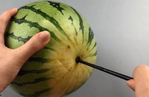 用筷子吃的瓜,探寻中国饮食文化的独特魅力