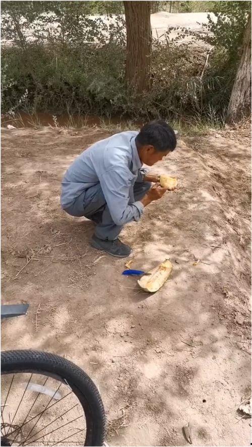 伽师吃瓜视频全集,揭秘瓜界风云，笑料百出全集回顾