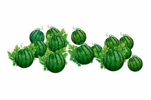 阿仪吃瓜,揭秘娱乐圈那些不为人知的幕后故事